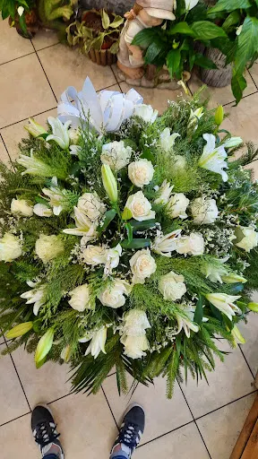 Kwiaciarnia Blue Bell